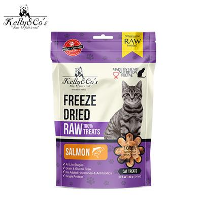 Kelly & CO s Freeze Dried Raw Treat SALMON  แซลมอน ฟรีชดราย 100% (40g)